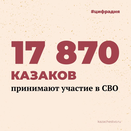 О том, в каких подразделениях состоят казаки и какие населенные пункты они освобождали, рассказал…